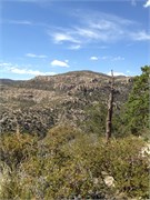 Tucson 2576